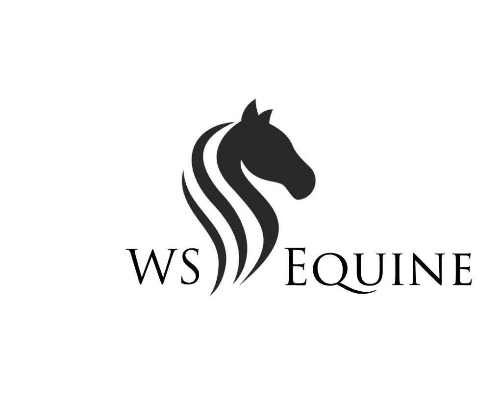 Will Scott Equine